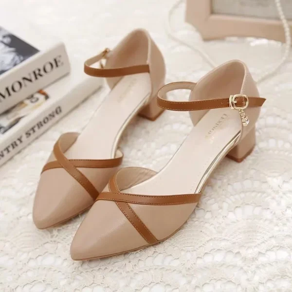 94e3ed3c5a97aa5622e3058ba87c22f0.webp Pointed Toe Buckle Heels