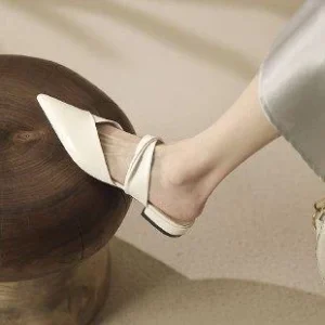 Pointed Toe Mules