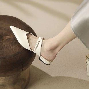 Pointed Toe Mules