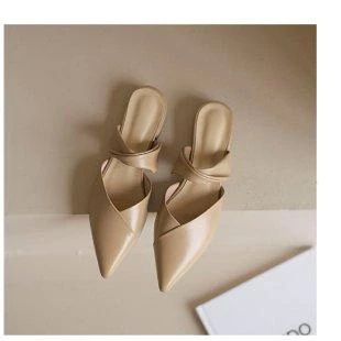 Pointed Toe Mules