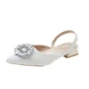 Pointed Toe Low Heels